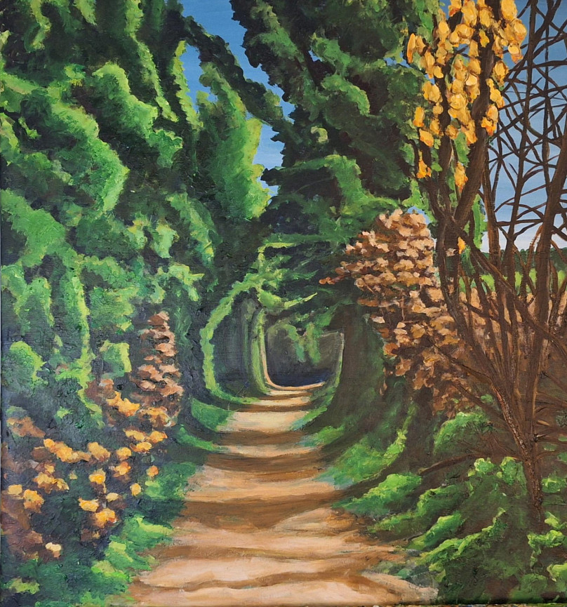 Afbeelding 1 in carrousel van Homepage carrousel